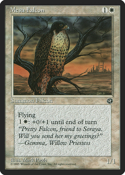 Mesa Falcon - Homelands Common Card