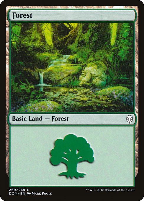 Forest - Dominaria Common Card
