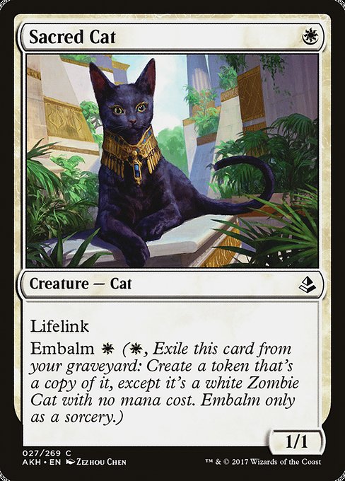 Sacred Cat - Amonkhet Common Card