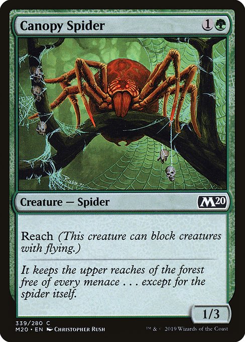 Canopy Spider - Core Set 2020 Common Card