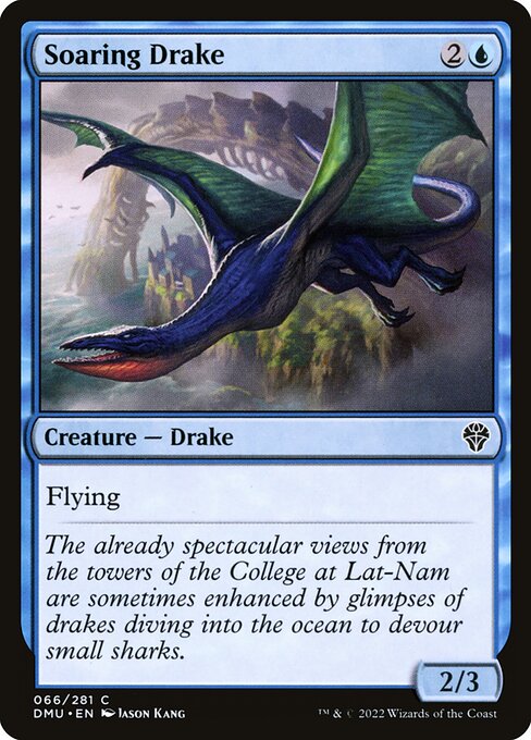 Soaring Drake - Dominaria United Common Card
