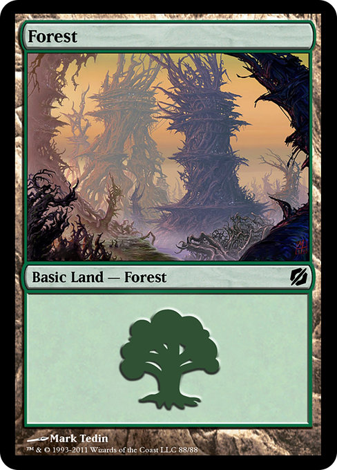 Forest - Duel Decks: Mirrodin Pure vs. New Phyrexia Common Card