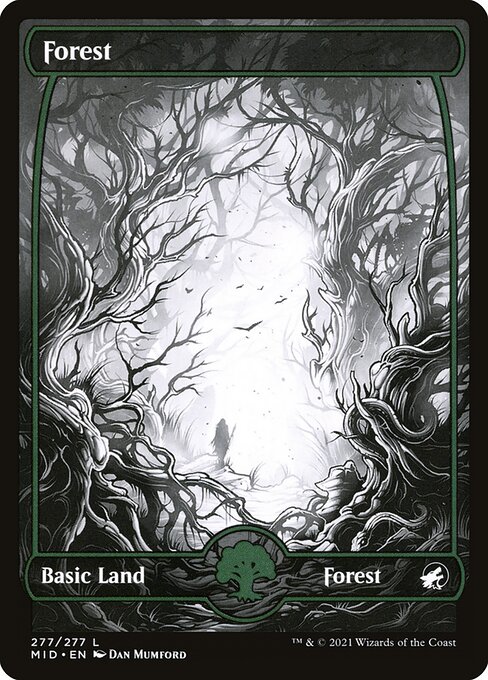 Forest - Innistrad: Midnight Hunt Common Card