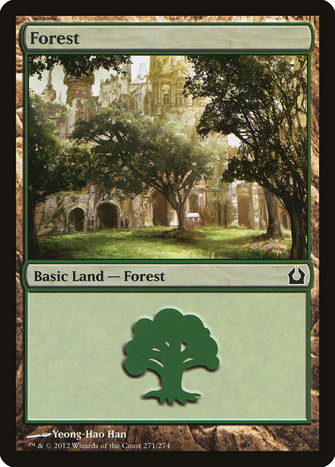 Forest - Return to Ravnica Common Card