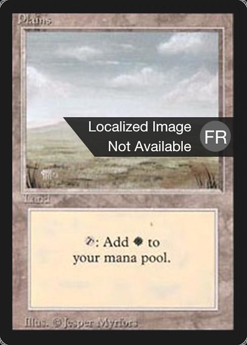 Plains - Foreign Black Border Common Card