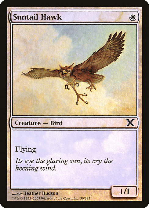 Suntail Hawk - Tenth Edition Common Card