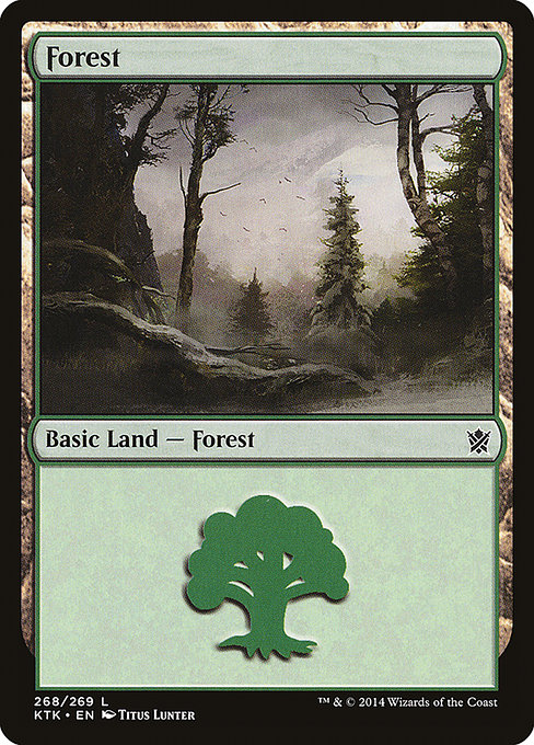 Forest - Khans of Tarkir Common Card
