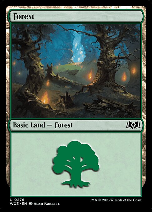 Forest - Wilds of Eldraine Common Card