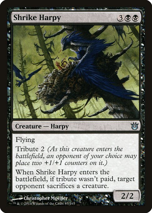 Shrike Harpy - Born of the Gods Uncommon Card