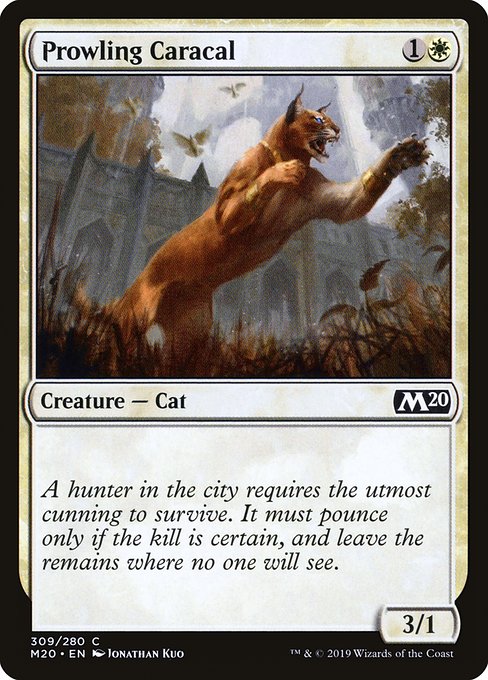 Prowling Caracal - Core Set 2020 Common Card