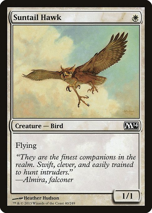 Suntail Hawk - Magic 2014 Common Card