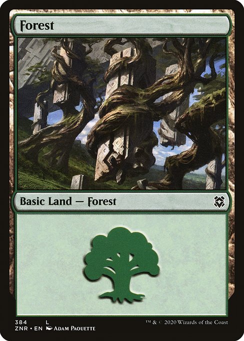 Forest - Zendikar Rising Common Card