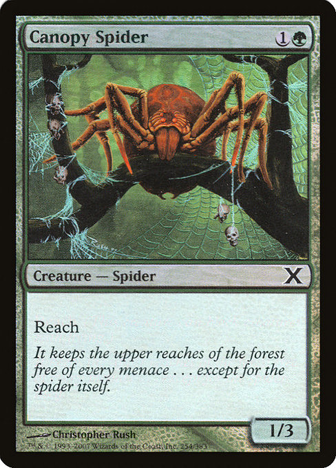 Canopy Spider - Tenth Edition Common Card