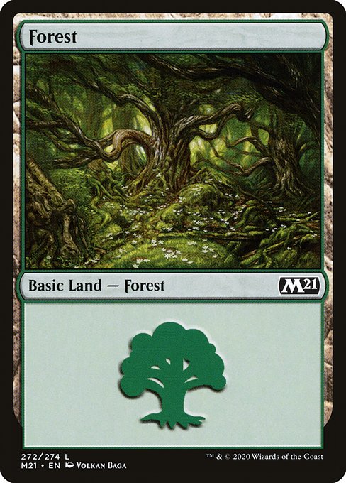 Forest - Core Set 2021 Common Card