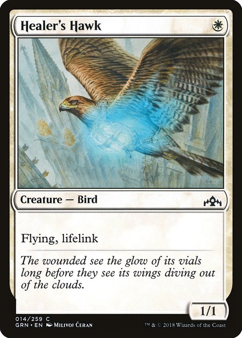 Healer's Hawk - Guilds of Ravnica Common Card