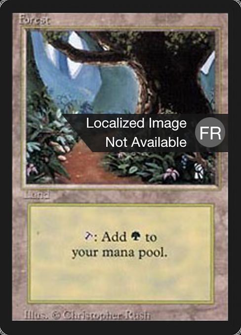 Forest - Foreign Black Border Common Card