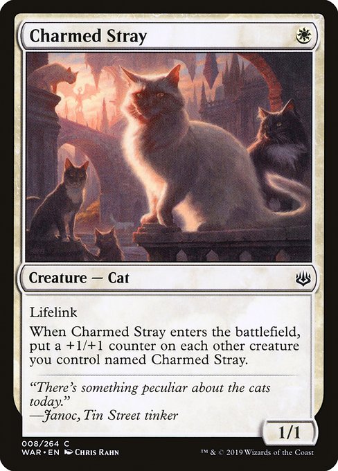 Charmed Stray - War of the Spark Common Card