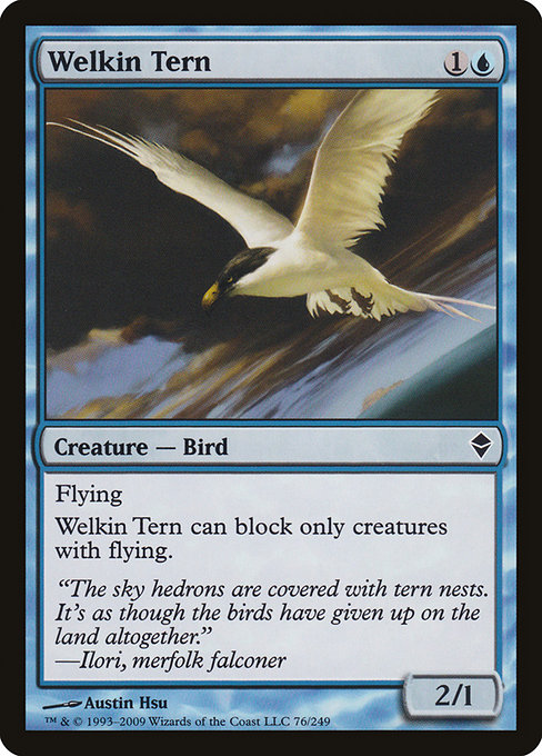 Welkin Tern - Zendikar Common Card