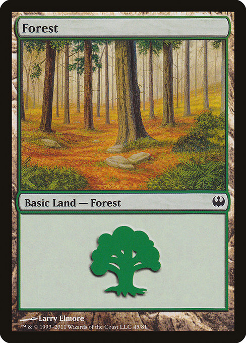 Forest - Duel Decks: Knights vs. Dragons Common Card