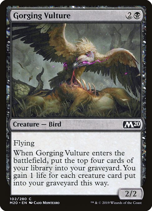 Gorging Vulture - Core Set 2020 Common Card