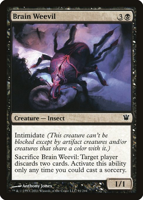 Brain Weevil - Innistrad Common Card