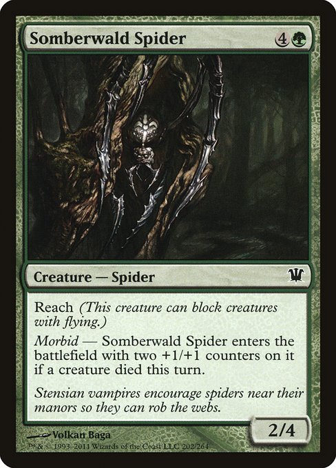 Somberwald Spider - Innistrad Common Card