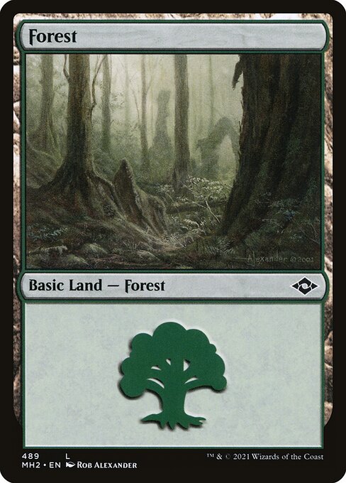 Forest - Modern Horizons 2 Common Card