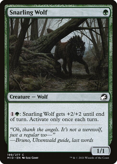 Snarling Wolf - Innistrad: Midnight Hunt Common Card