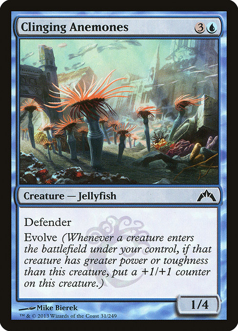 Clinging Anemones - Gatecrash Common Card