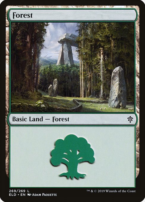 Forest - Throne of Eldraine Common Card