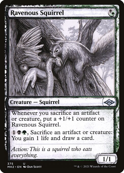 Ravenous Squirrel - Modern Horizons 2 Uncommon Card