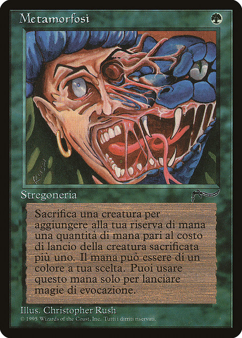 Metamorphosis - Rinascimento Common Card