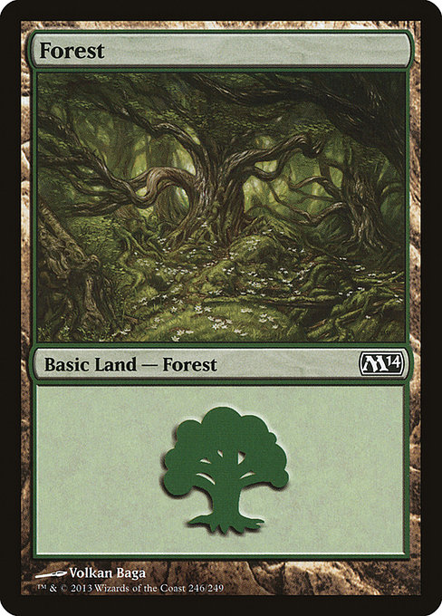 Forest - Magic 2014 Common Card
