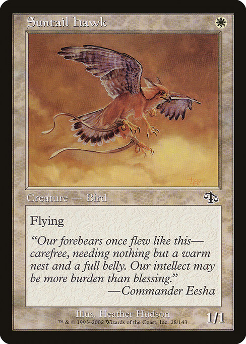 Suntail Hawk - Judgment Common Card
