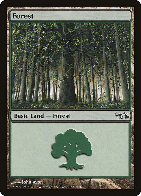 Forest - Duel Decks: Elves vs. Goblins Common Card