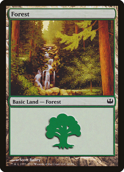 Forest - Duel Decks: Knights vs. Dragons Common Card