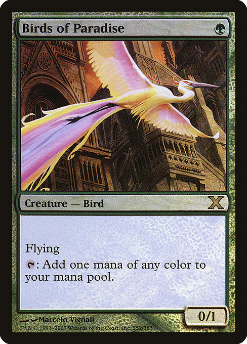 Birds of Paradise - Tenth Edition Rare Card
