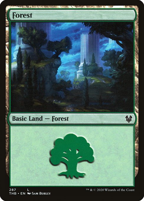 Forest - Theros Beyond Death Common Card