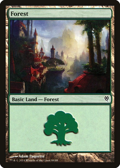Forest - Duel Decks: Jace vs. Vraska Common Card