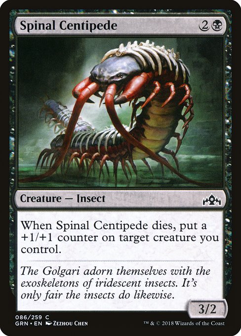 Spinal Centipede - Guilds of Ravnica Common Card