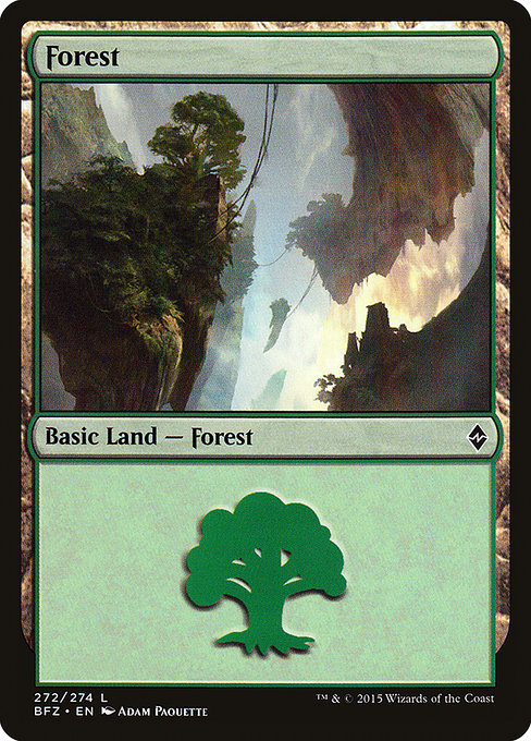 Forest - Battle for Zendikar Common Card