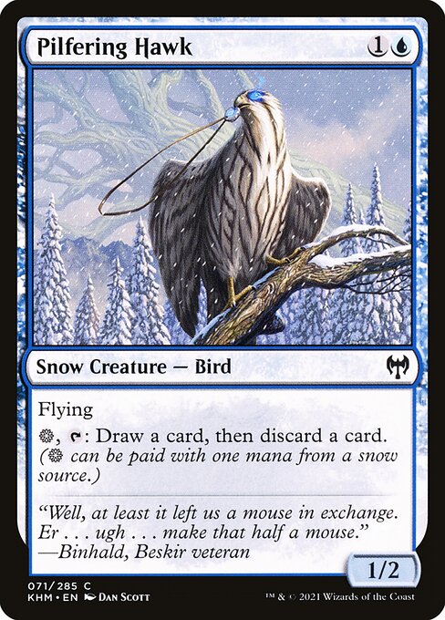 Pilfering Hawk - Kaldheim Common Card