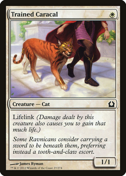 Trained Caracal - Return to Ravnica Common Card