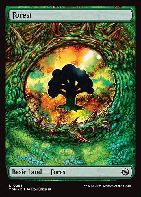 Forest - Tarkir: Dragonstorm Common Card