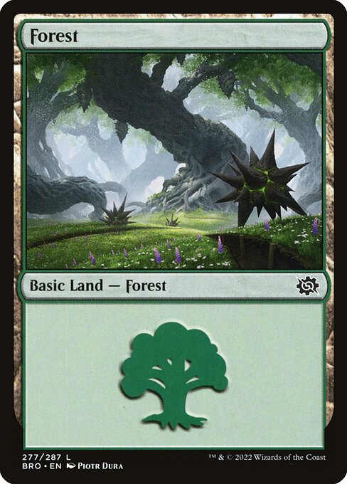 Forest - The Brothers' War Common Card