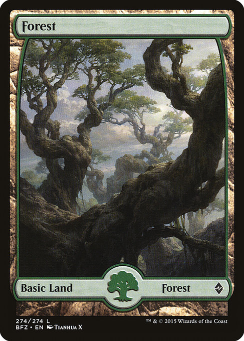 Forest - Battle for Zendikar Common Card