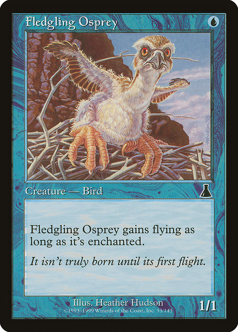 Fledgling Osprey - Urza's Destiny Common Card