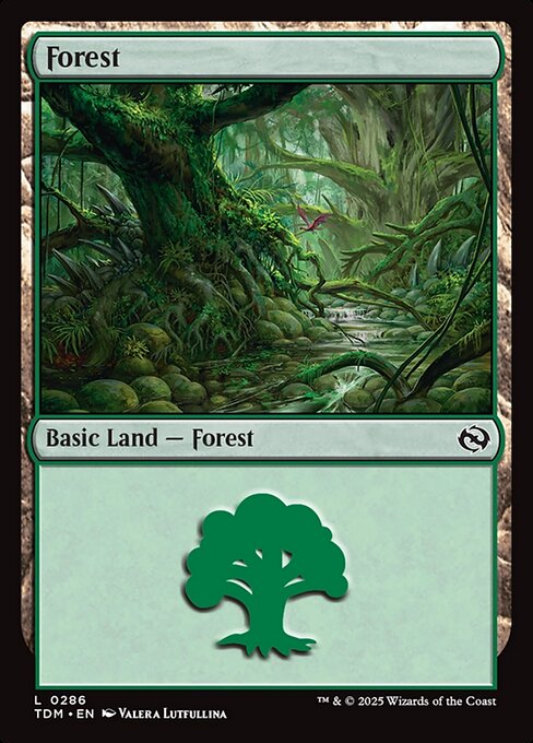 Forest - Tarkir: Dragonstorm Common Card