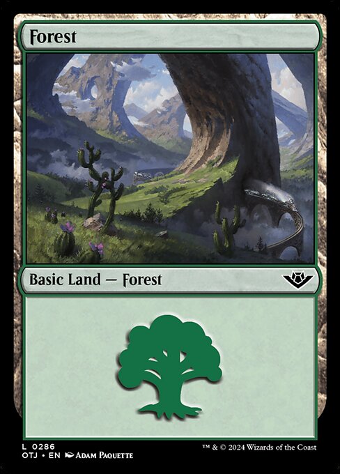 Forest - Outlaws of Thunder Junction Common Card