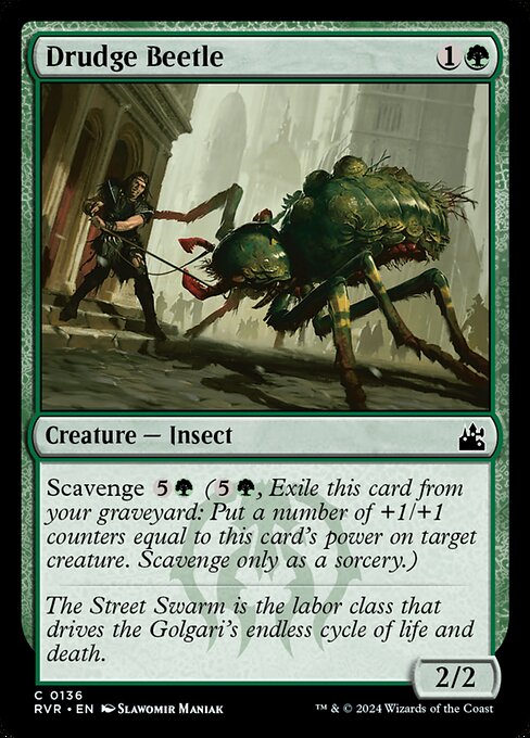 Drudge Beetle - Ravnica Remastered Common Card